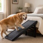 Older dog near a bed with a sturdy ramp for safer access