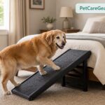 Senior dog using a gentle indoor ramp safely