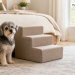 Small senior dog beside dog stairs near a bed