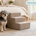 Small senior dog using low dog stairs beside a bed