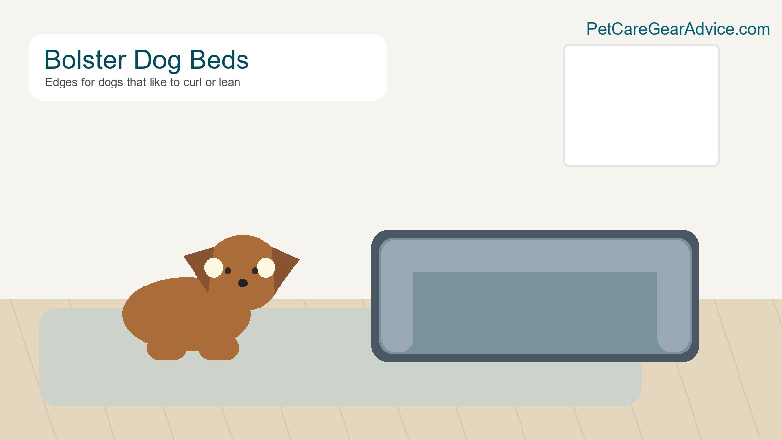 Senior dog near a low-entry bolster dog bed