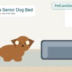 Older dog resting comfortably on a thoughtfully chosen bed indoors