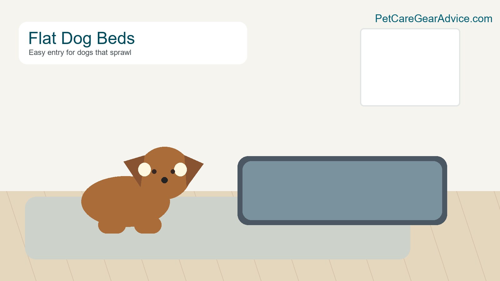 Senior dog near a flat mattress-style dog bed