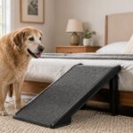 Older dog standing beside a bed with a ramp for safer access