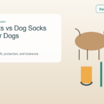 Dog boot and grip sock compared beside an older dog's paws