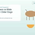 Full dog diaper and male belly wrap compared for an older dog