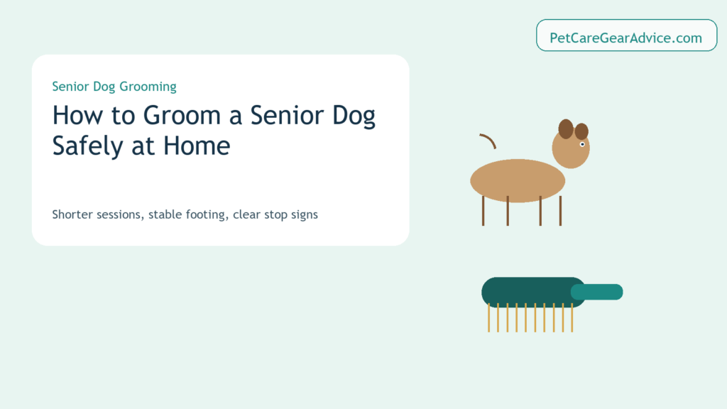 Senior dog beside a grooming brush on a stable home grooming surface