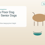 Floor-level and modestly raised dog bowls compared for a senior dog