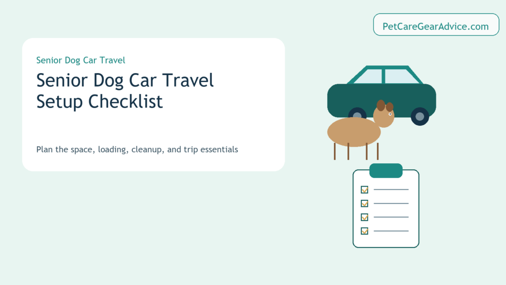 Senior dog beside a car and practical car travel checklist
