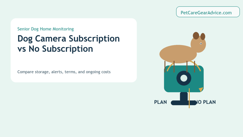 Dog camera subscription compared with no-subscription camera options