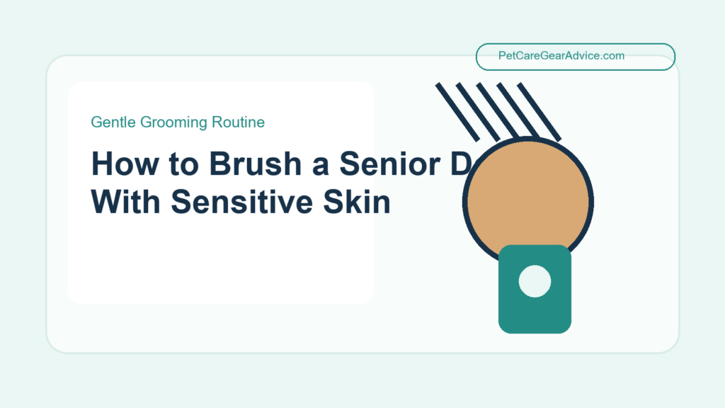 Gentle brushing routine for a senior dog with sensitive skin